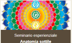 armoniaebenessereitalia it seminario-esperienziale-anatomia-sottile-c49 026