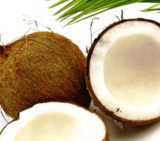 Olio cocco 