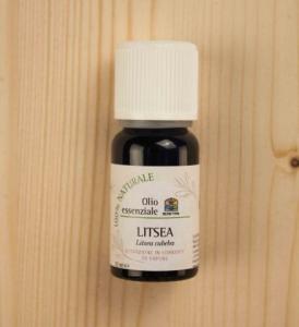 Litsea O.E.